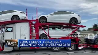 Luhut Sebut Tesla Siap Gelontorkan Investasi di RI