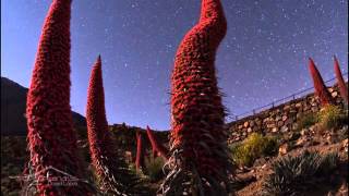 La luz de las estrellas.