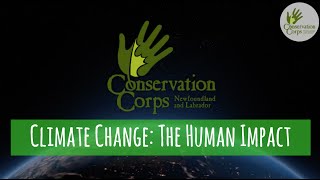 Climate Change: The Human Impact