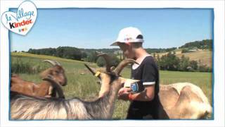 Une semaine au Village Kinder 2011