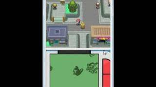 Pokemon Platinum Randoms