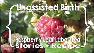 Super-Strong Raspberry Leaf Labor Tea- My Experiences plus Recipe (Unassisted Birth)