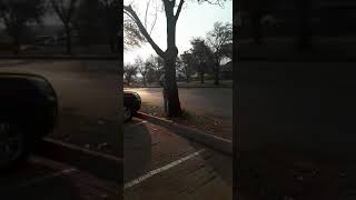 Man caught urinating in public