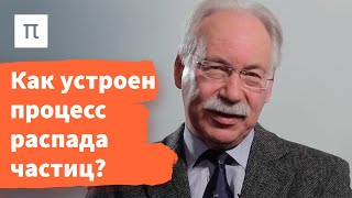 Распад элементарных частиц — Дмитрий Казаков 