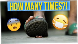 Patreon Leak - Couple Moved 18 Times Due to Cockroaches (ft. Kelly Mi Li)