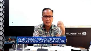 Menperin Paparkan Urgensi Substitusi Impor Garam Industri