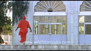 Gurudwara in Rajasthan