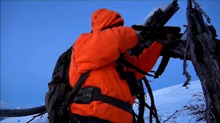 Elk VS 300 Ultra Mag! Elk Hunting