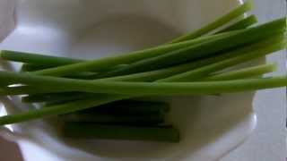 節約　部屋でできるネギの水耕栽培　Hydroponics green onion