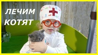 ДОКТОР ЛЕЧИТ КОТЯТ Британские котята Капаем глазки Ухаживаем Видео про котят