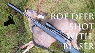 Roe deer shot with Blaser R93 rifle. Polowanie z Blaserem R93.