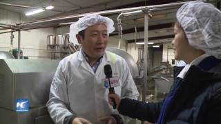 La fábrica más grande de tofu en Iowa