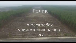 ВНИМАНИЕ! Незаконная вырубка леса в г. #БАЛАКЛЕЯ Харьковской области.