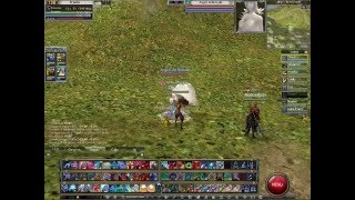Rappelz: Taming Angels and Naga Server FENICE (IT)