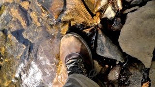 Hiking Near Fall Creek Falls with Alex and the Crud!