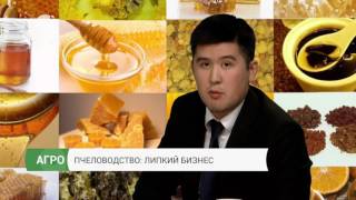 Бактибаев. Агро | Пчеловодство: липкий бизнес (19.04.2017)