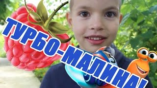 VLOG Малина, турбо-улитки и ПЕРВОЕ интервью!