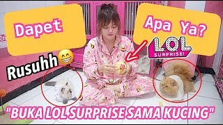 HAHAHA UNBOX LOL SURPRISE WITH CATS - ANAK DAN BAPAK BERSAMA MEMBUKA LOL SURPRISE Wkwk