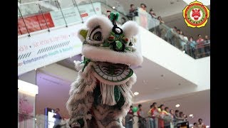 [Giải Lân Lên Mai Hoa Thung Sc VivoCity 2018] Vĩnh Phú Đường 永富堂龍獅圑 liondance championship 2018