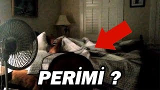 PERİLİ OLAYLARIN YAŞANDIĞI 5 VİDEO KAYDI
