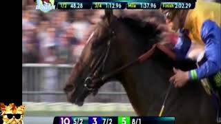 ROBERT BRUCE  clasfica a la Breeders Cup