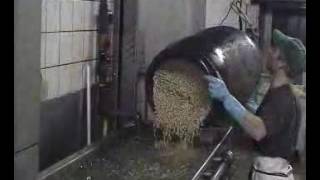 Sprossen waschen mit GEWA3800DV+5000DV