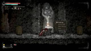 rgk - impressions on Salt & Sanctuary (EN)