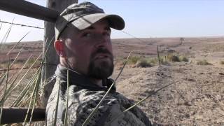 Coyote Hunting
