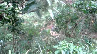 buhay sa bundok (part 2)