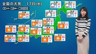 17日（水） 花粉飛散予想