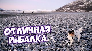 [BugagaTV] ОТЛИЧНАЯ РЫБАЛКА | Лучшие Приколы Май # 4