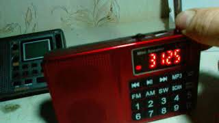 AudioMax SRW-810S & L-258 радиохулиганы на 3 мГц