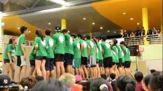 CESTA's FOC GL performance (1)