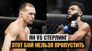 Петр Ян против Стерлинга / Этот бой нельзя пропустить / Эпичное промо боя на UFC 259