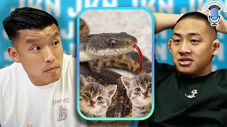 13-Foot Python Survives Five Months Eating Cats in Trailer Park