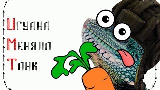 ИМТ рознь ИМТ! х1
