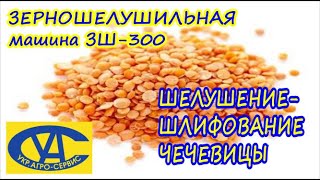 Шелушение-шлифование чечевицы.  Удаление семенной оболочки с семян чечевицы на зерношелушителе