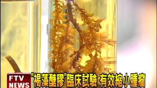 醫技新突破 「褐藻醣膠」抑癌轉移－民視新聞