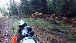 Essai longue durée Sauer 101