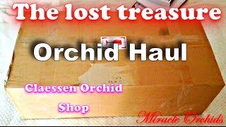 ❤️ The lost treasure - Orchid haul - Claessen Orchid Shop ❤️