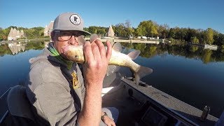Fishing for Muskie with 15" LIVE SUCKERS under a Balloon