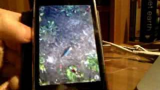 3 Awesome Free iPhone Apps: Pocket Pond, Soundrop, NeuroClock