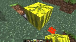 Minecraft: How To Make A Enderman Trap (EASY) NO END PORTAL REQUIRED