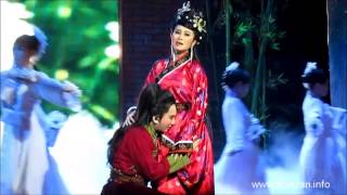 Bài ca hoa cúc trắng (Chiếc áo thiên nga)