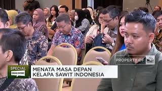 Kelapa Sawit Sumbang Devisa Terbesar di Tengah El Nino, Kok Bisa?