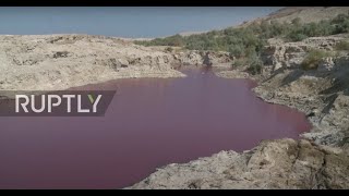 Jordan: Scientists investigate red water pool phenomenon near Dead Sea