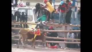 TOROS EN GONZOL 1