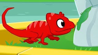 Rotes Chamäleon | +Mehr Episoden | Karikatur für Kinder | Kinderlieder | Mila und Morphle