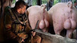 УНИКАЛЬНАЯ ЛОКАЦИЯ В СТАЛКЕР: ЗОВ ПРИПЯТИ ?