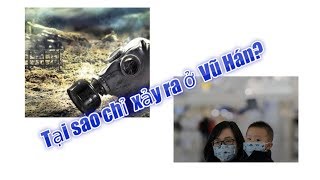 Tại sao chỉ xảy ra ở Vũ Hán? Tác giả Đỗ T. Công.
